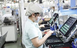 Đón “sóng” đầu tư FDI: Thận trọng chọn lọc "đại bàng, chim sẻ"